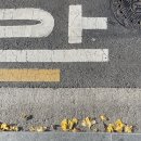 (주)강아유 이미지