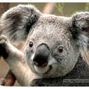 팔공산힐링 이미지