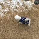 뽀야네 민박 이미지