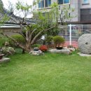 안동약국 이미지