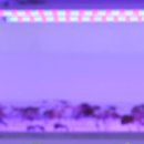 광섭농장 이미지