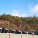 주식회사 태양광솔루션 이미지