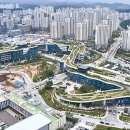 세종 이미지