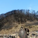 고운사우화루 이미지