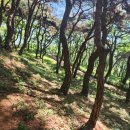 덕절산생태공원 이미지