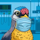 (주)넬바이오텍 이미지