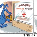 팬더세탁소 이미지