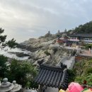 해동산곰장어