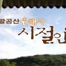 팔공산 은해사 시절인연 / 다큐멘터리 이미지