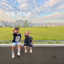 어코브 | 세종 아이와 가기 좋은 카페, 카페 어코브 방문 후기