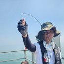 장고항바다 좌대낚시터 이미지