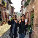 정을영 카카오 검색결과