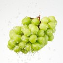 청아다원