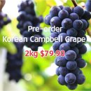 🍇상주포도 선주문🍇 및 할인 상품 안내 이미지