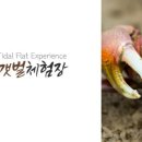 사금어촌계 네이버블로그