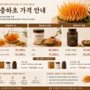 고려동충하초 | 동충하초 가격, 얼마가 적당할까? 종류별 시세와 구매전 꼭 확인해야 할 사항