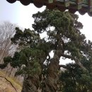 금샘약국 이미지