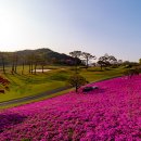 동부산 CC 이미지