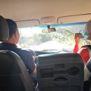 솔향기약국 이미지