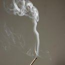 향기5로 이미지