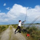 동진강 민물장어 이미지