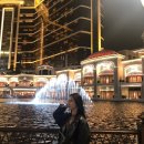 오이시투 | 홍콩,일본 5박6일 (마카오,빅토리아파크,후지산투어,디즈니씨)