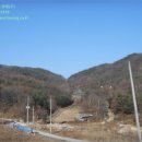 다리골목장 네이버블로그