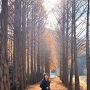 큰맘할매순대국 영월남면점 이미지