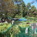 삼화파크빌라 이미지