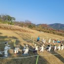 순천만 그리고 나 이미지