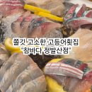정발산참바다 | 일산 정발산동 참바다 | 고등어회 광어회 웨이팅 있는 일산 횟집 솔직후기