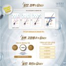 헤어홀릭 이미지