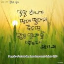 밀알 - 서대문구 통일로 171 | 밀알