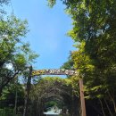 오도산자연휴양림 | 합천 오도산자연휴양림 황강20호 2인실 후기 계곡 물놀이 무인매점