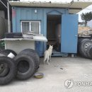 청원타이어 이미지
