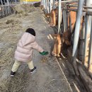 다연축사 이미지