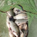 여수낚시터 이미지