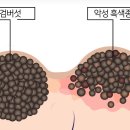 엄마손한의원 이미지