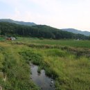 초천1리 이미지