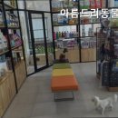 아름드리동물병원 이미지