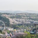 용인정보 이미지
