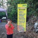 아연네감귤체험농장 이미지