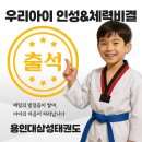 용인대삼성태권도 이미지