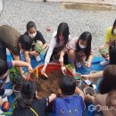 종곡초등학교 이미지