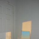 생활in