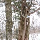 백련사안내소 이미지