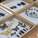 장승포초등학교병설유치원 이미지