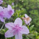 대운장 | 전주대학교 - 비교과 드론수업