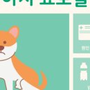 풍동 동물병원 이미지