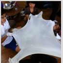 제원초병설유치원 이미지